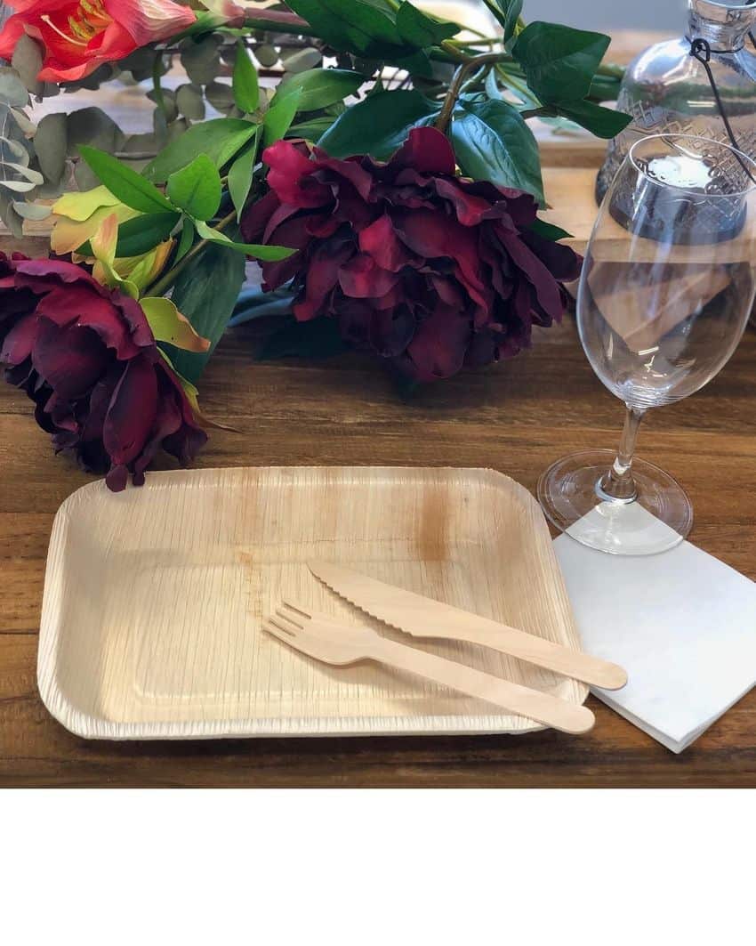 Eco Ware plates and Cutlery